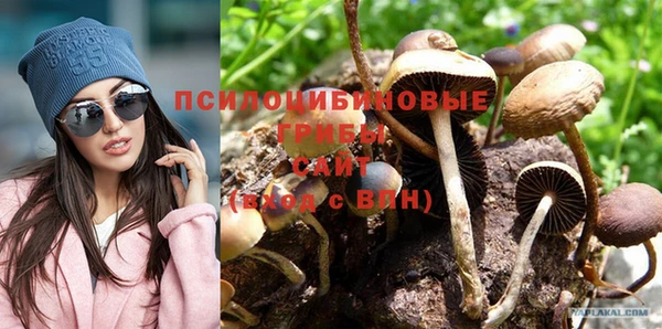 mdpv Сясьстрой