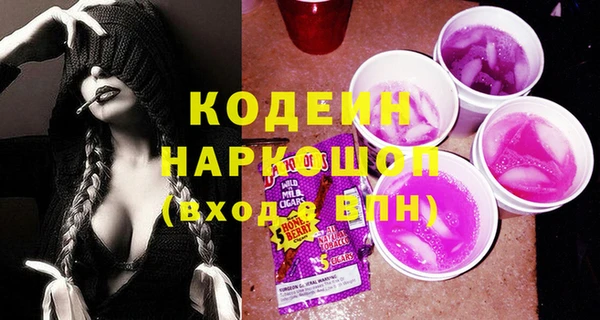 СК Бронницы
