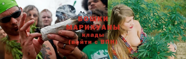 СК Бронницы