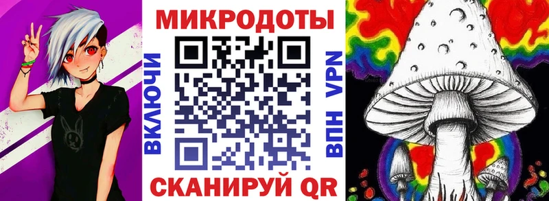 где можно купить Ступино Псилоцибиновые грибы Psilocybe